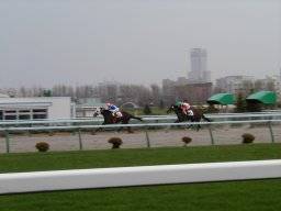 sapporo203