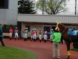 sapporo207