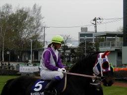 sapporo209