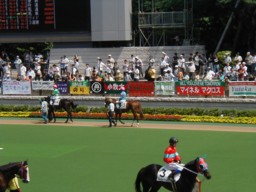 tokyo16