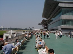 tokyo25