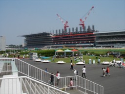 tokyo30