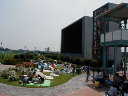 tokyo33