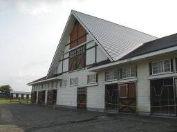 arrowstud05