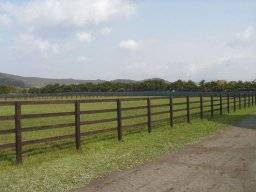 arrowstud06