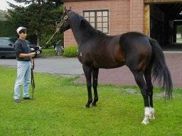 ditdark01m