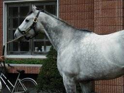 kurofune01m