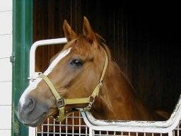 mcrown01m