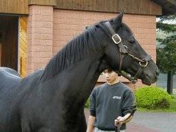 ssilence01m