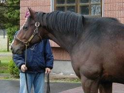 tgimlet01m